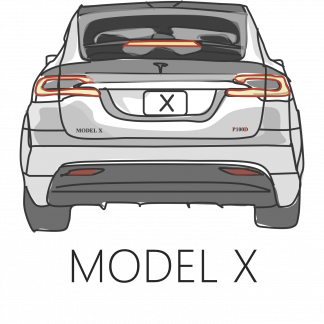 Model X