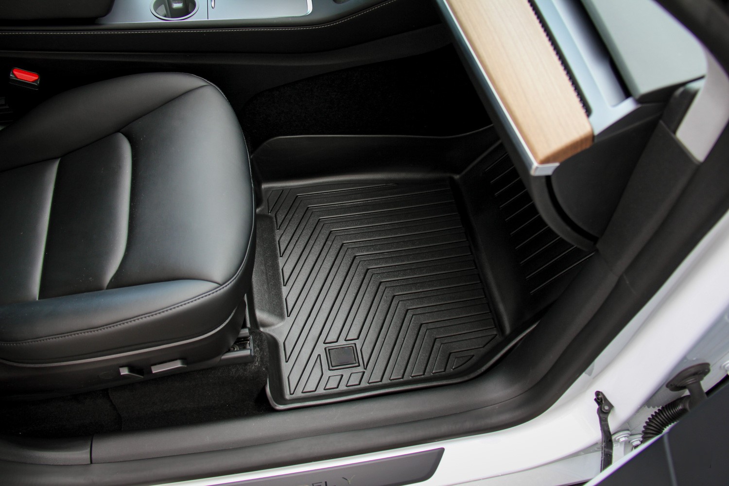 Model Y floor mats passenger