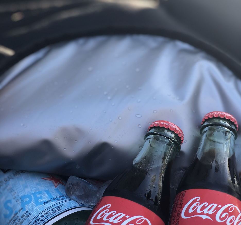 Model Y Frunk Icebag