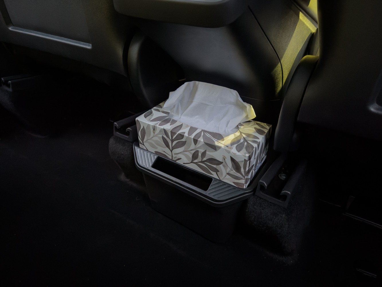 Model Y Trash Can Rear