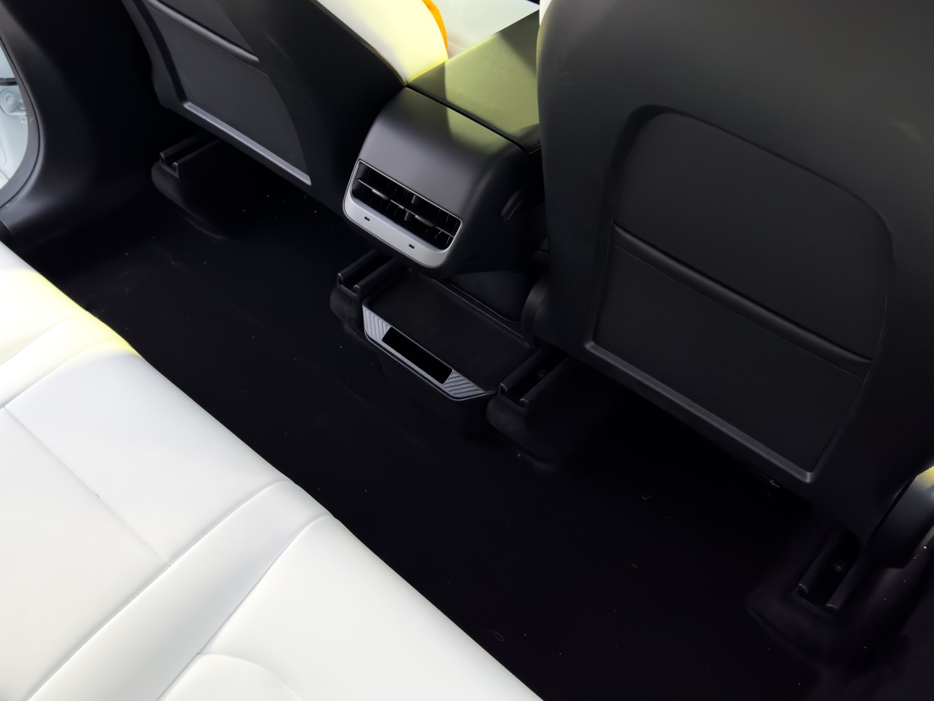 Model Y Trash Can Rear