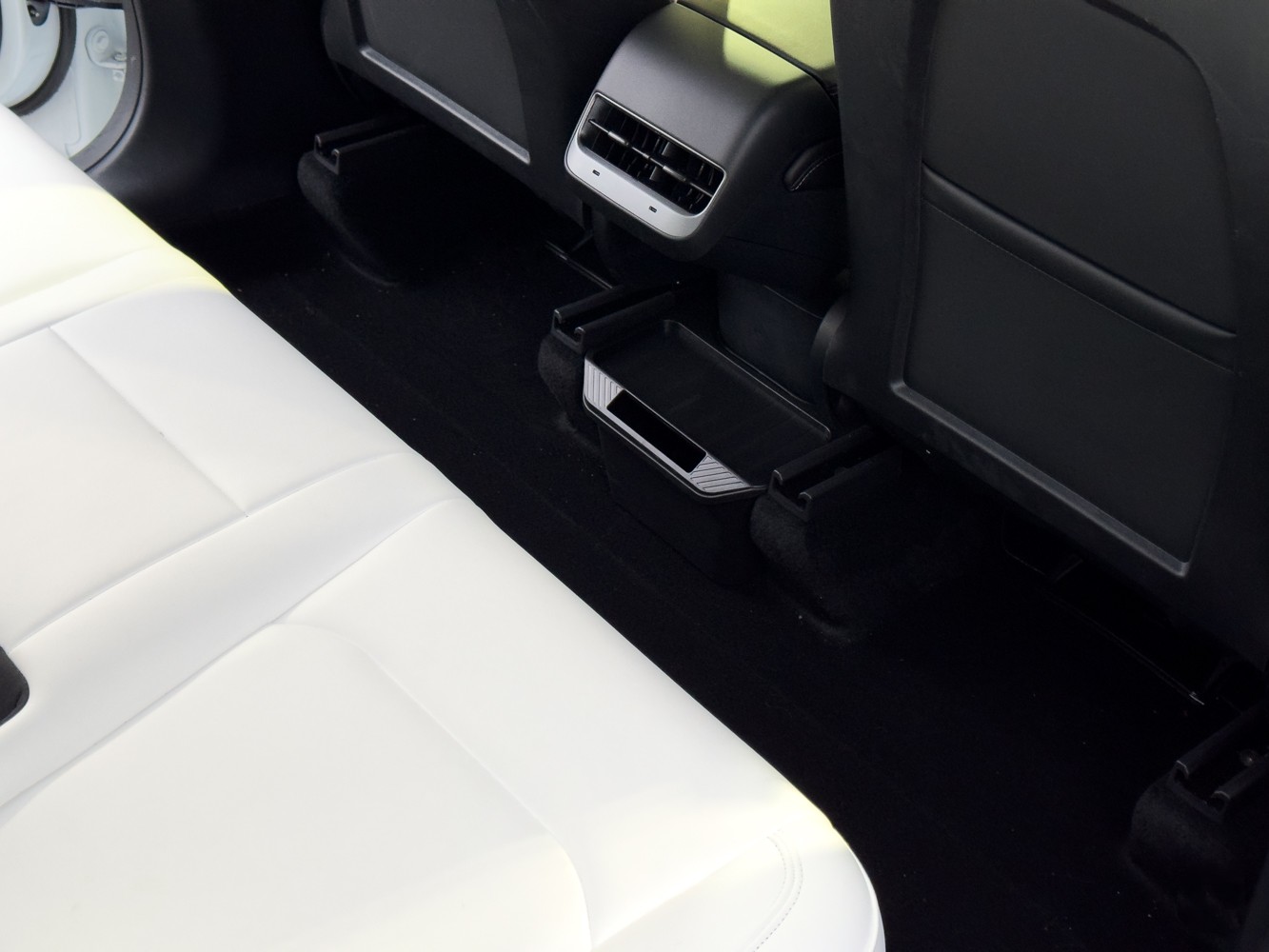 Model Y Trash Can Rear