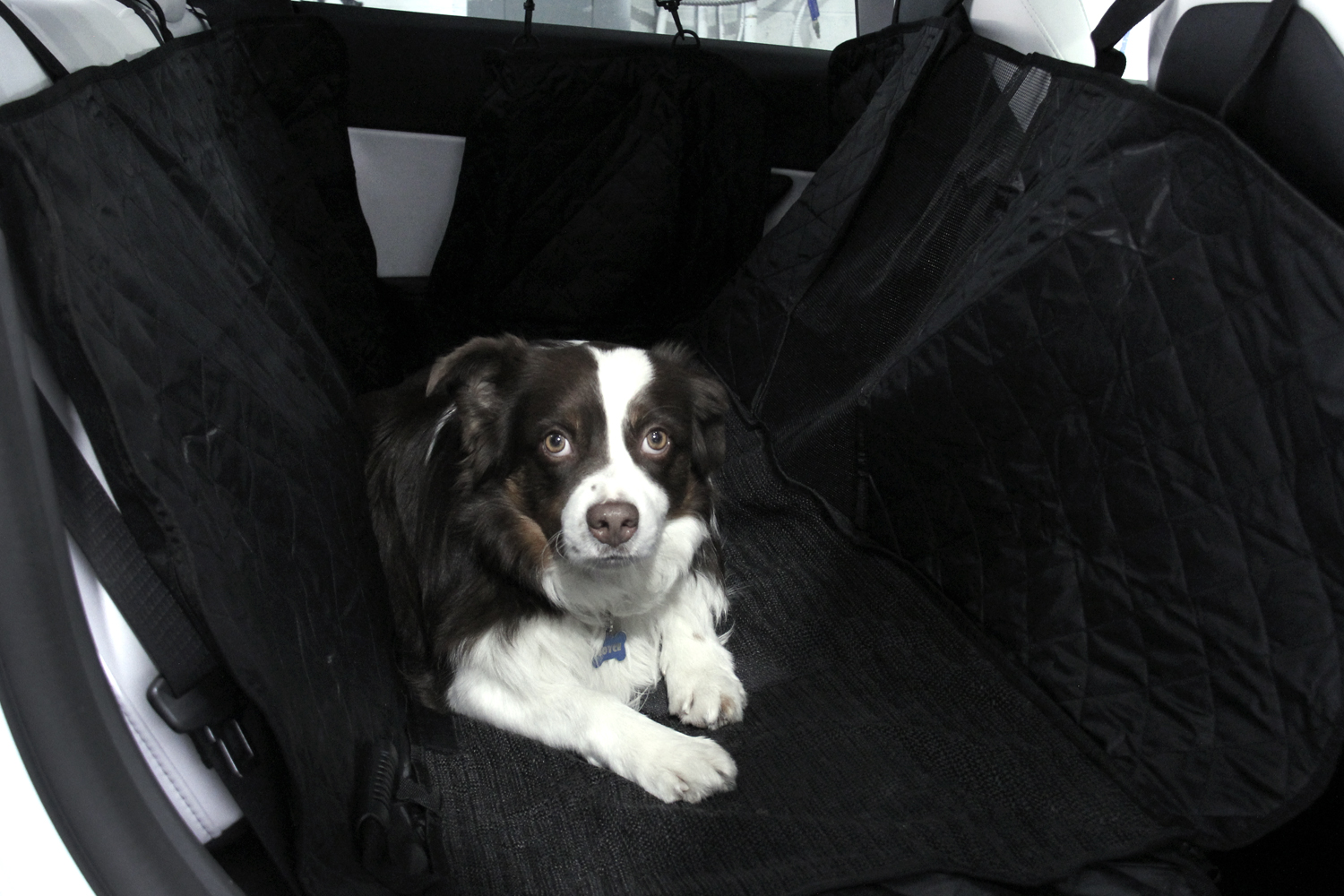 Tesla Model Y Back Seat Pet Cover